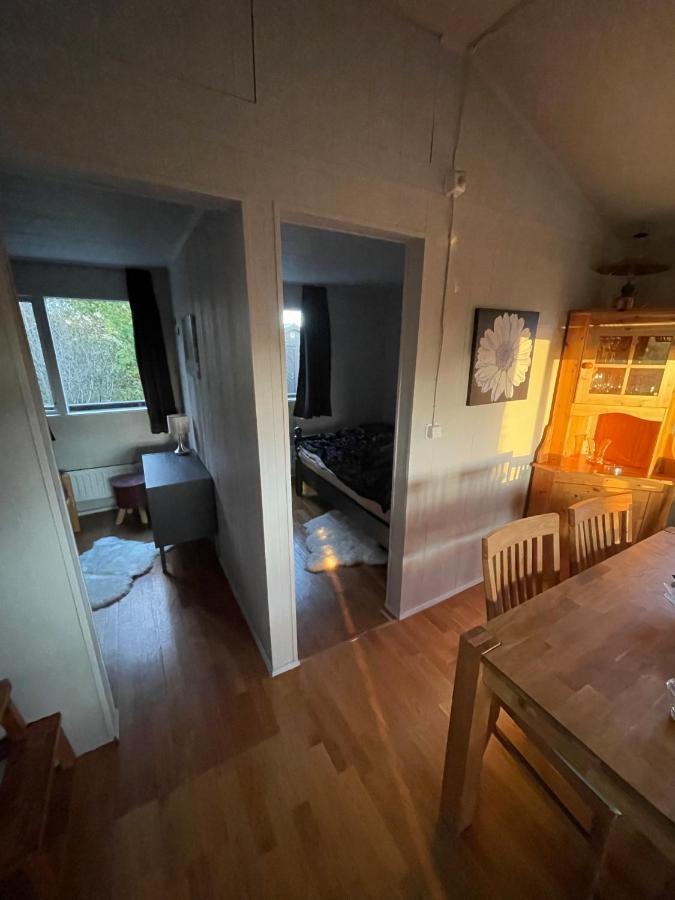 Thingvallavatn Lake Cottage 塞尔福斯 外观 照片