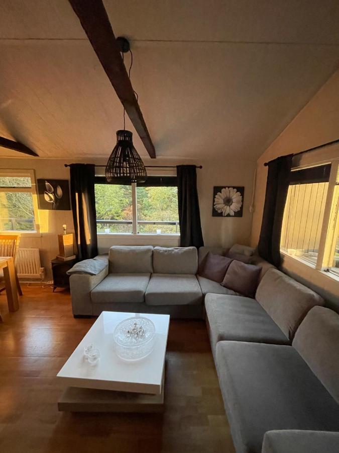 Thingvallavatn Lake Cottage 塞尔福斯 外观 照片