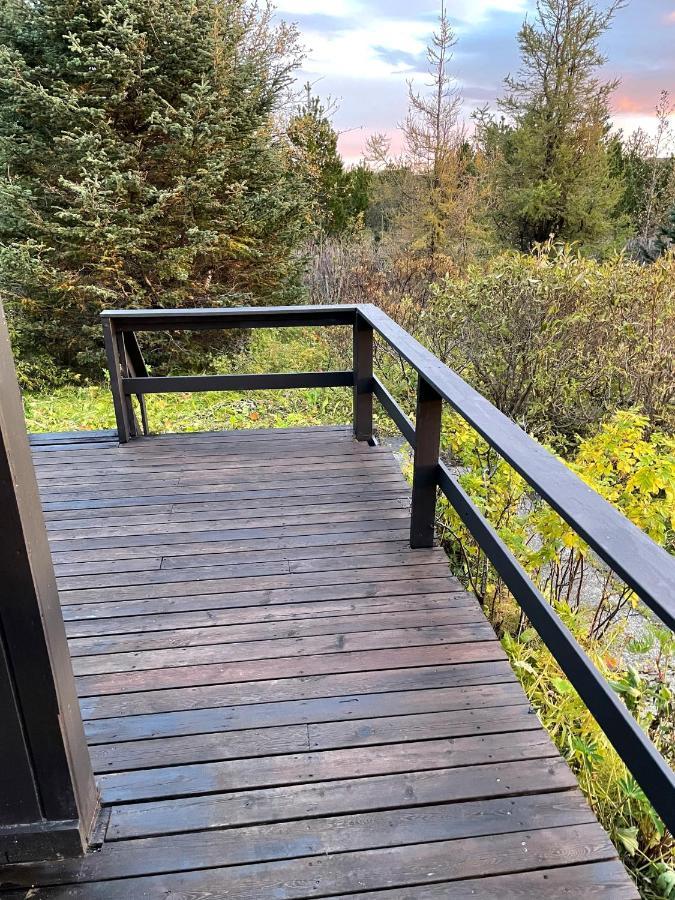 Thingvallavatn Lake Cottage 塞尔福斯 外观 照片