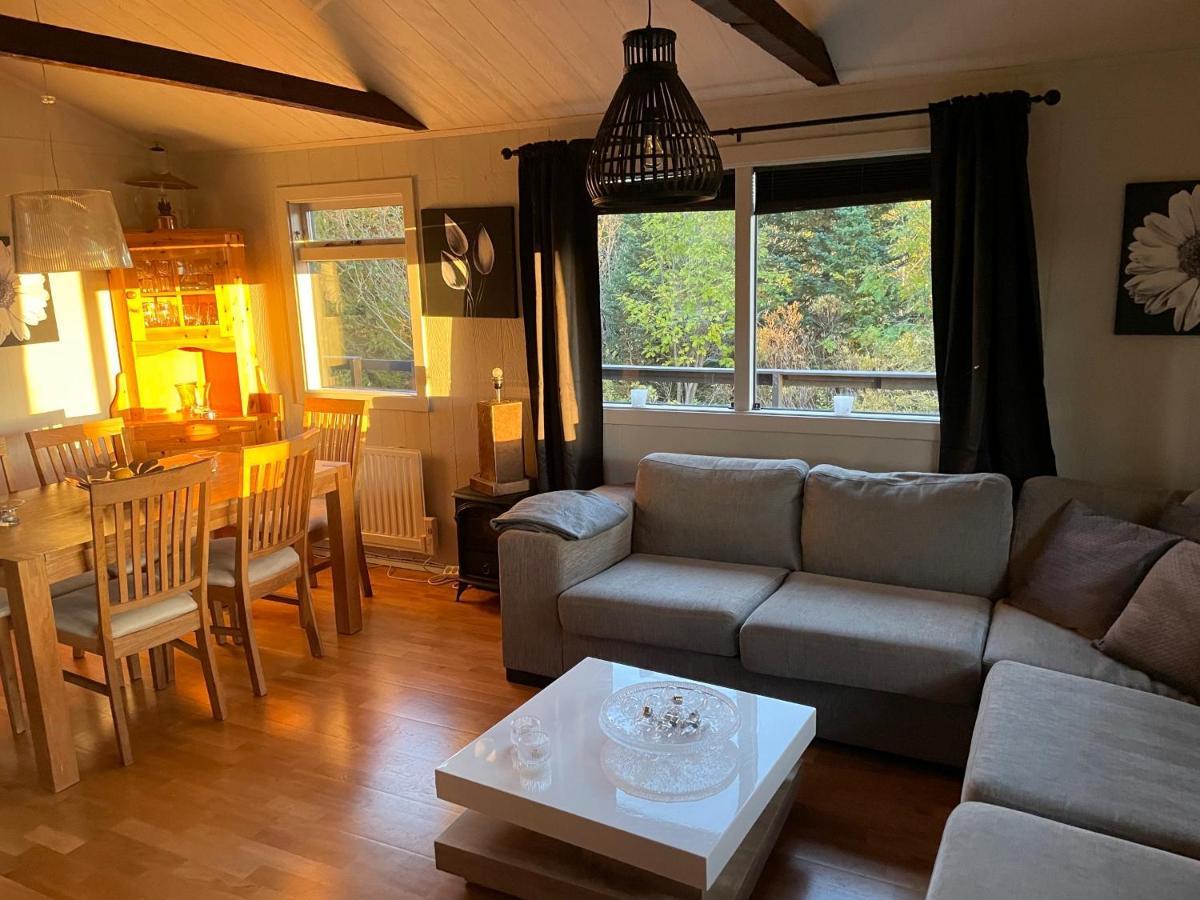 Thingvallavatn Lake Cottage 塞尔福斯 外观 照片